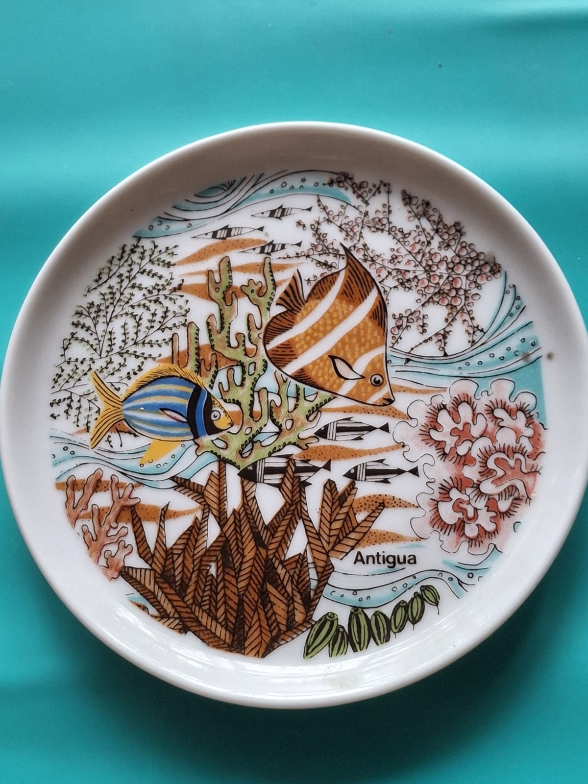 Antigua Carribean Life Striped Porkfish & Angelfish Small Decorative Plate Antigua Carribean Life Striped Porkfish & Angelfish Small Decorative Plate