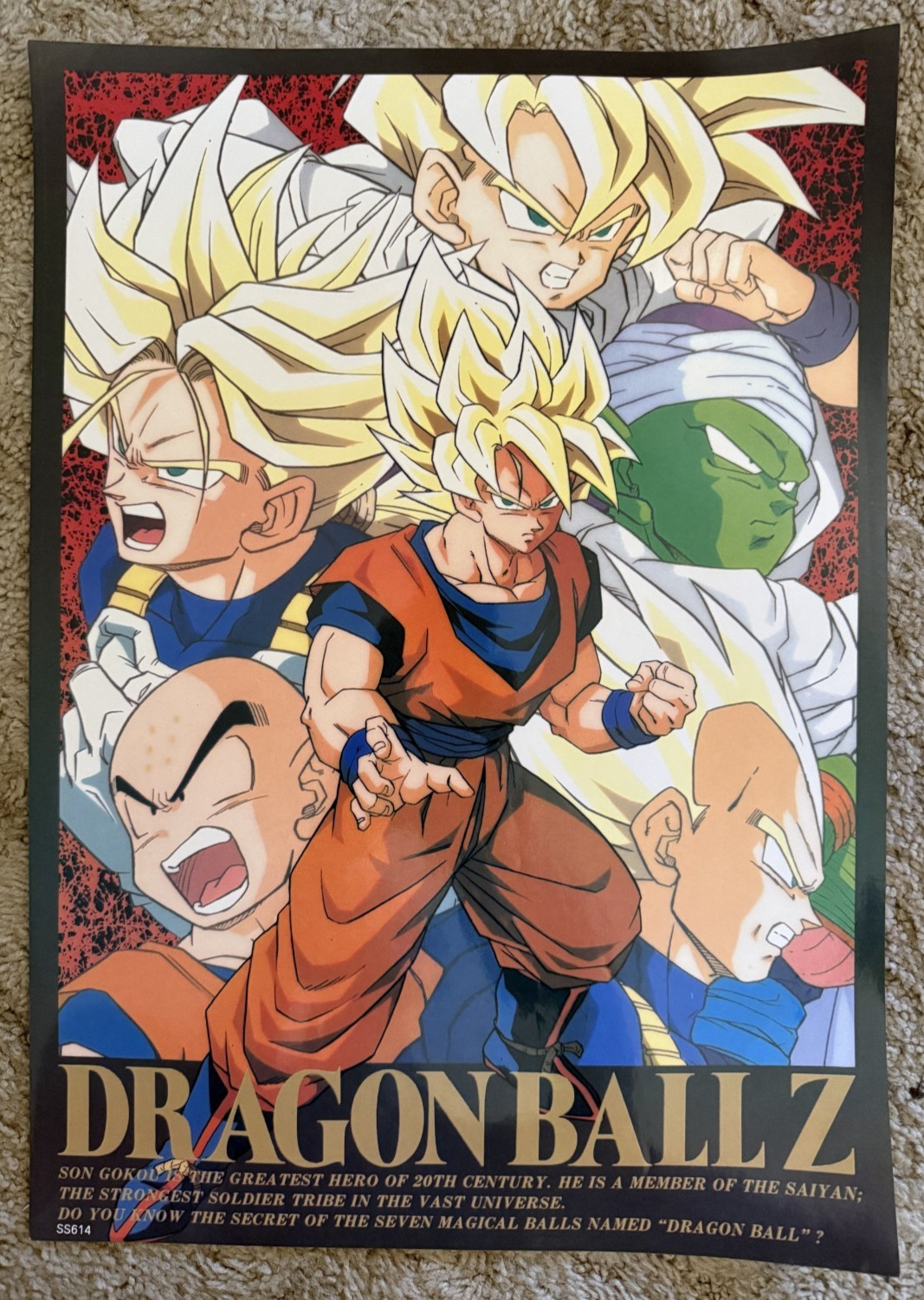 Dragon Ball Z poster 21