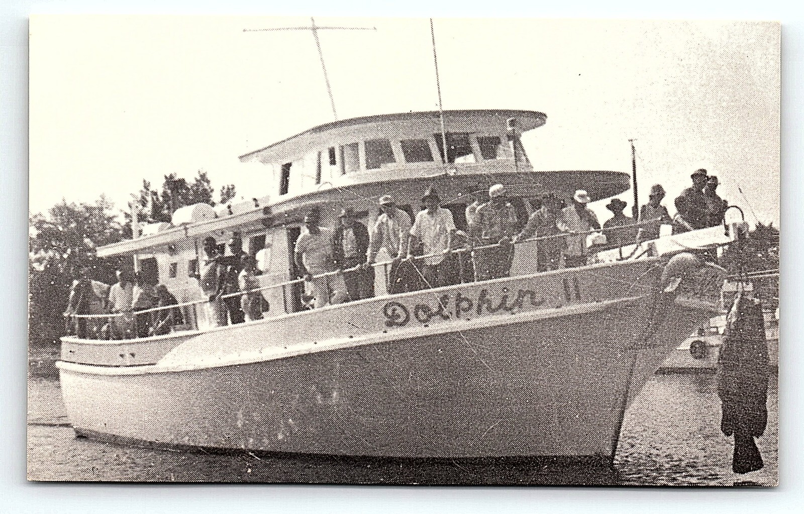 1960s TARPON SPRINGS FL DOLPHIN DEEP SEA FISHING ADVERTISING BUSINESS CARD P2363