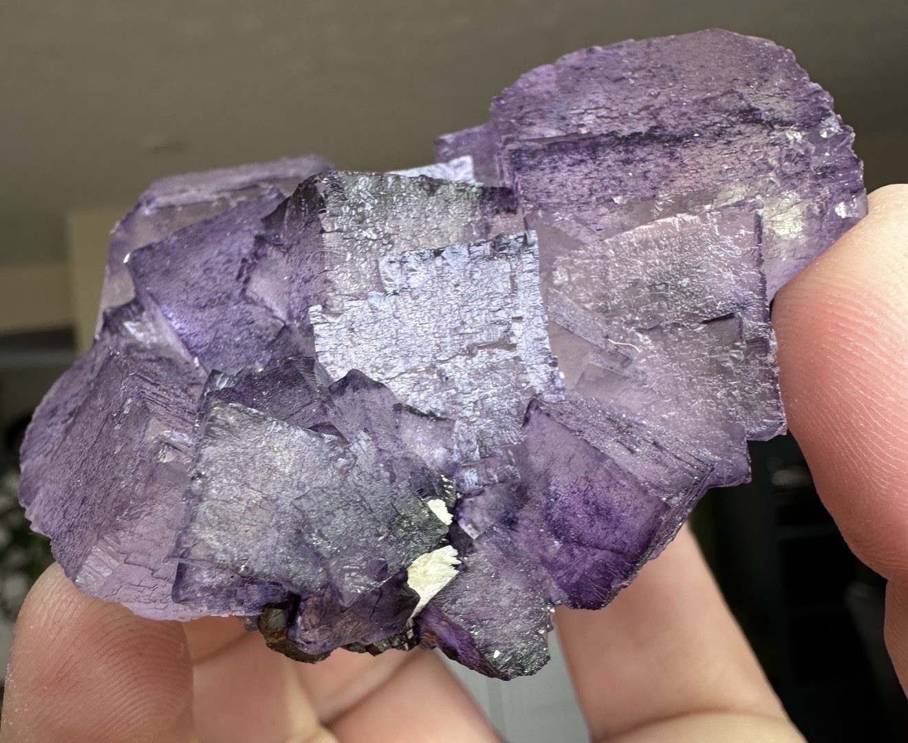 Fluorite and Sphalerite, Elmwood Mine, Smith County, Tennessee Fluorite and Sphalerite, Elmwood Mine, Smith County, Tennessee