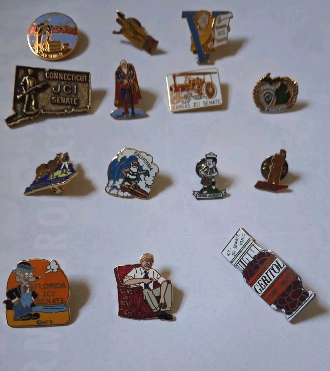 Lot of 14 Rare Vintage State JCI Senate Pins Mixed Enamel Political T Lot of 14 Rare Vintage State JCI Senate Pins Mixed Enamel Political T