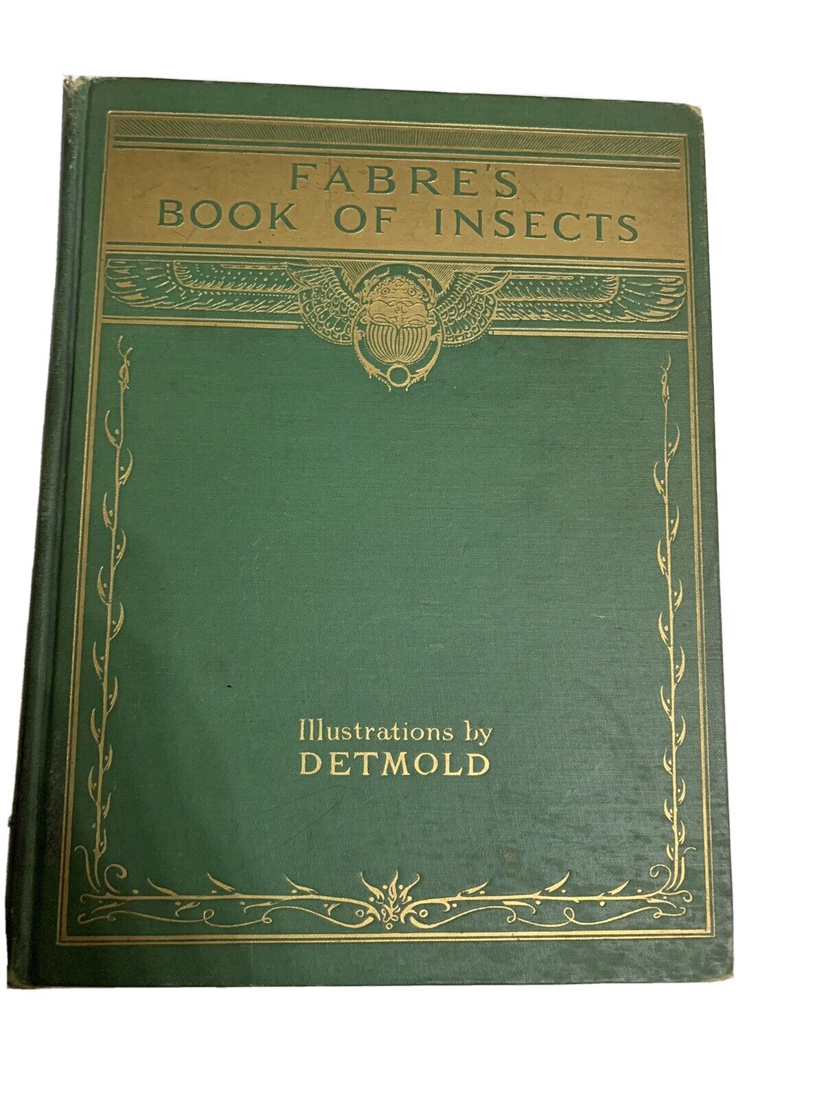 Faberd Book Of Insects Detmold 1937 Book