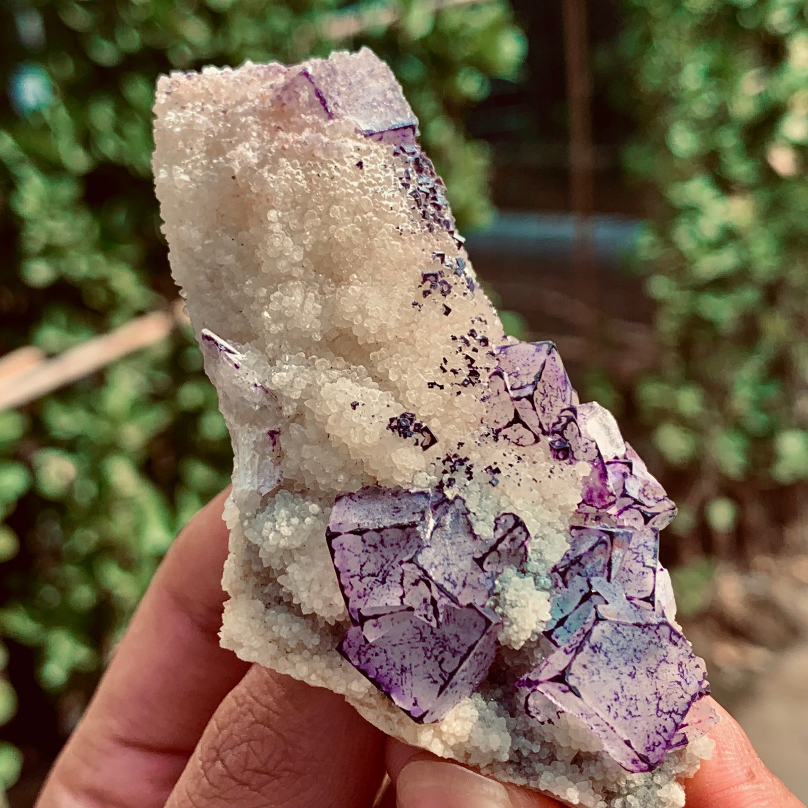 62G Natural Purple QR code fluorite Cube Crystal Mineral Specimen