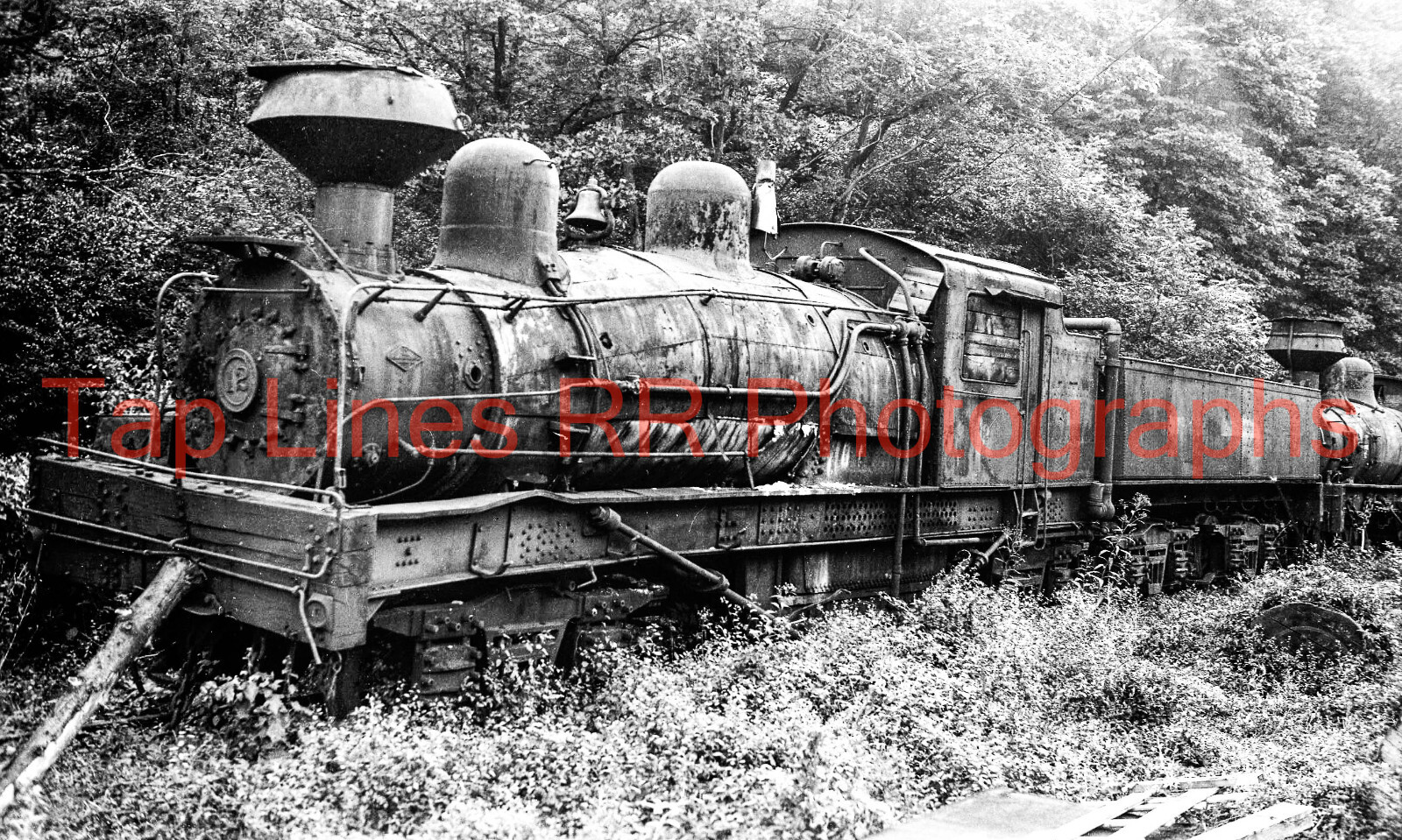 Mower Lumber Co #12 Shay Cass WV 9/6/1954 New 5x8 Photo