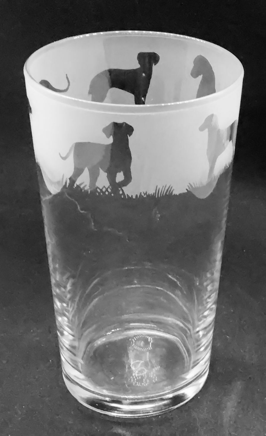 HUNGARIAN VIZSLA Frieze Boxed 57cl Conical 1 Pint Glass