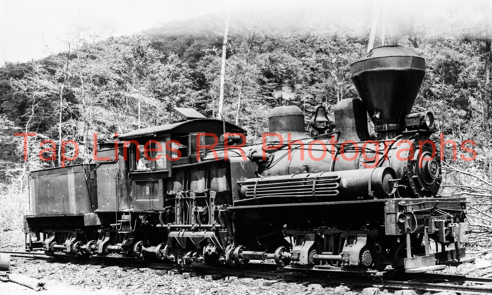 Meadow River Lumber Co. #3 Shay Anjean WV Wallace Johnson New 5x8 Photo
