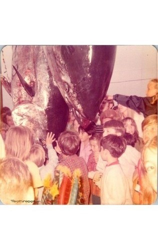 1950s Technicolor Photograph Giant Tuna Catch Kids Awe Americana FULL-VUE Print 1950s Technicolor Photograph Giant Tuna Catch Kids Awe Americana FULL-VUE Print