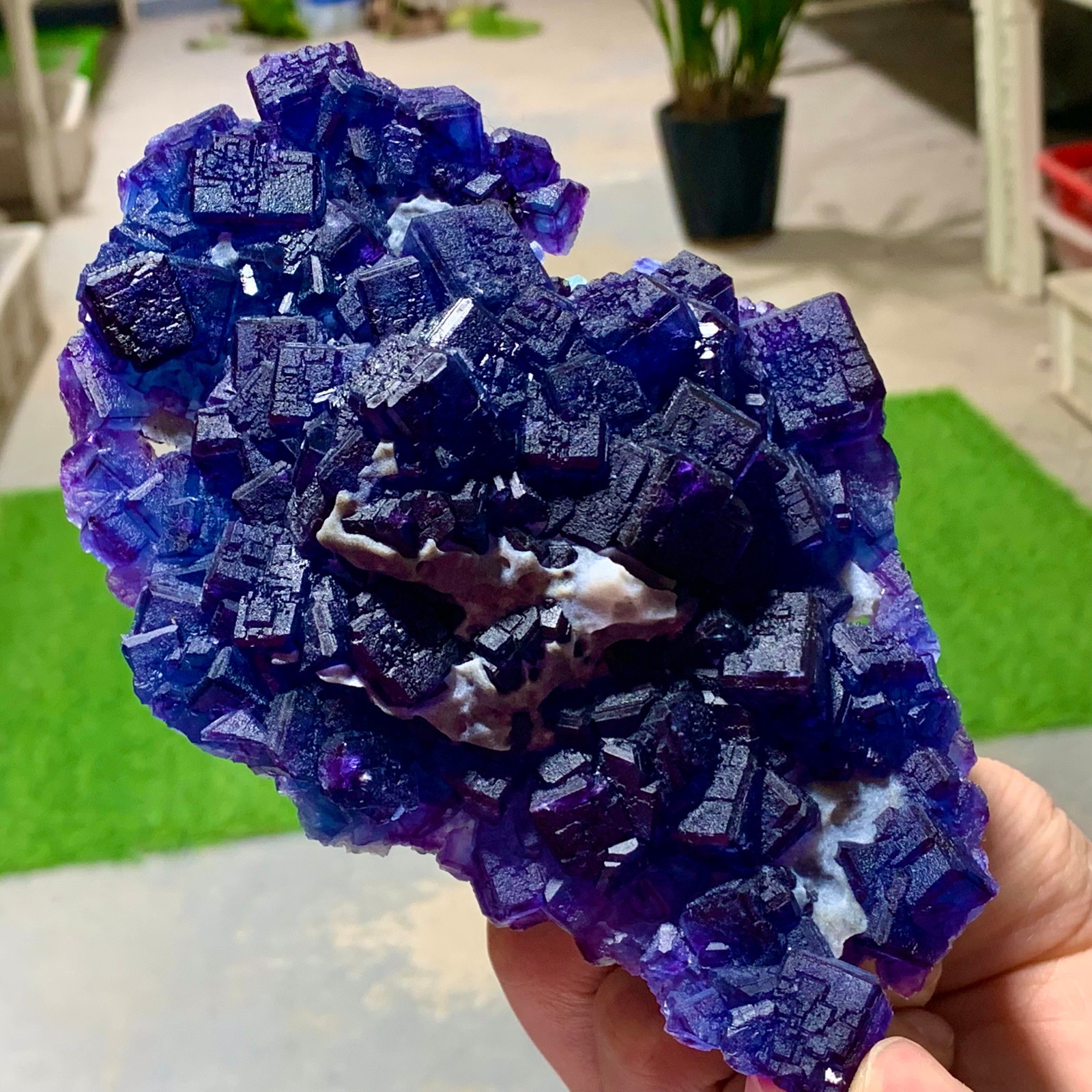 1.22LB Rare Transparent Purple+Blue Cube Fluorite Mineral Crystal Specimen/China