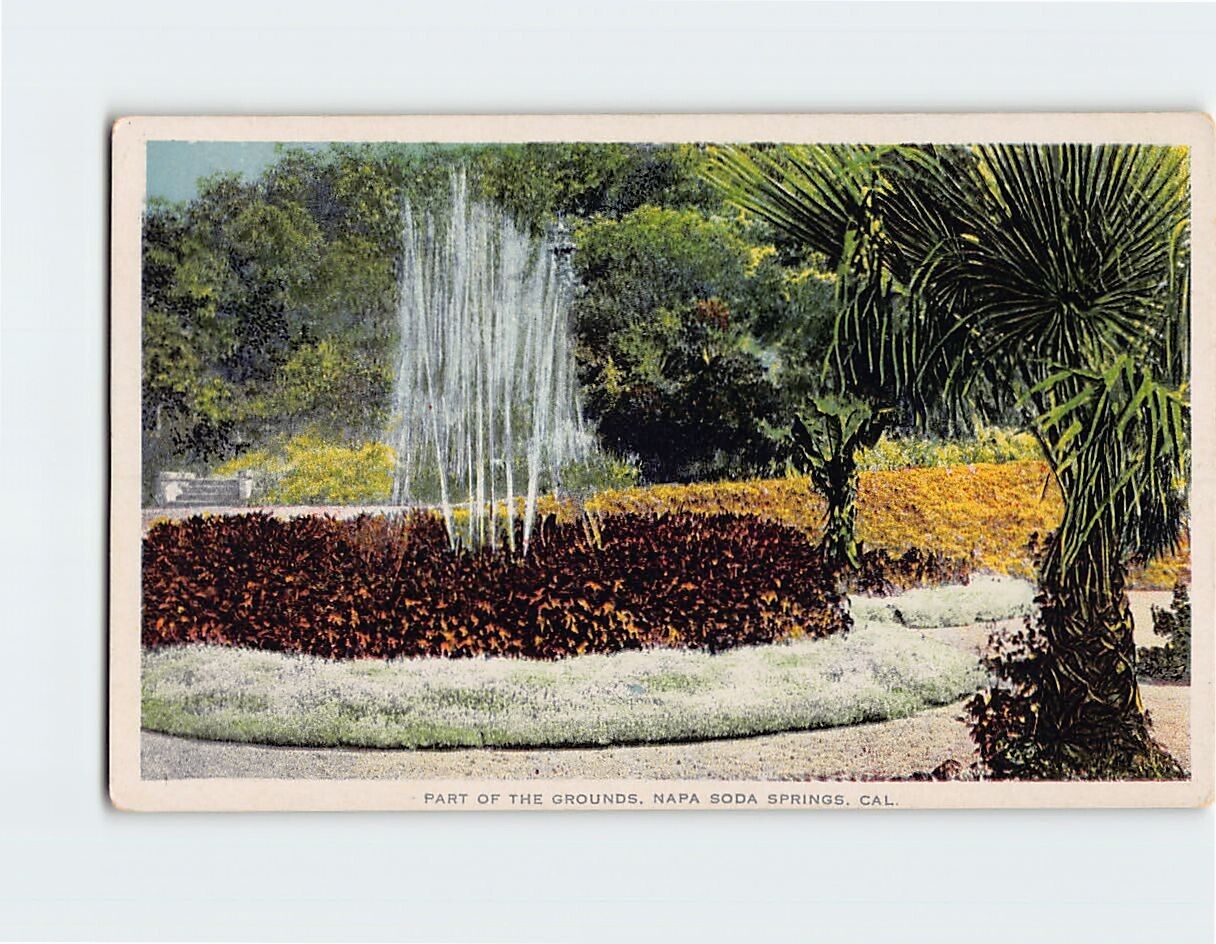 Postcard Part Of The Grounds, Napa Soda Springs, California