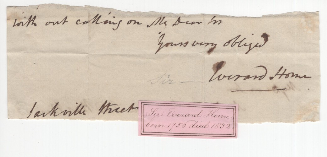 Everard Home 1756-1832 Signed Clip Autograph Surgeon King George III Ichthyosaur Everard Home 1756-1832 Signed Clip Autograph Surgeon King George III Ichthyosaur