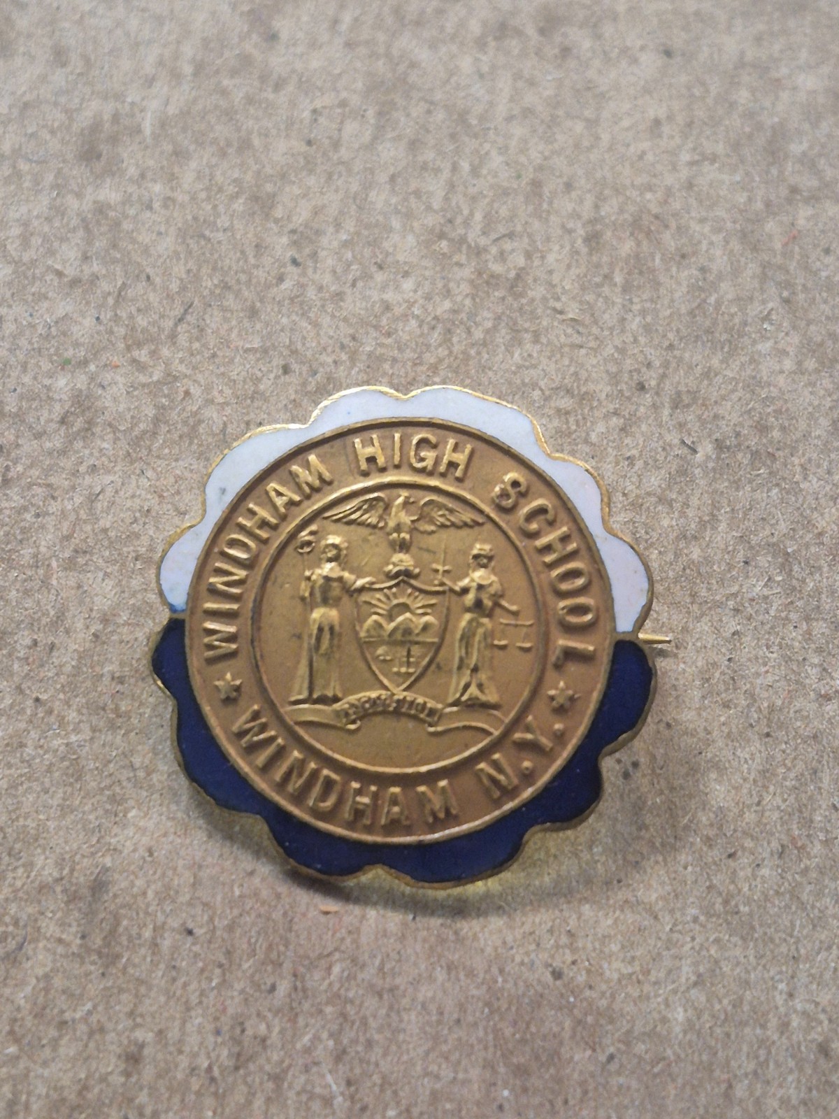 Original Vintage John Frick enamel pin Windham High School, Windham NY JP535