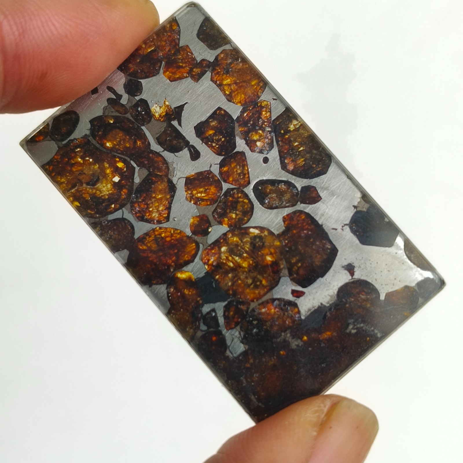 100% Natural Sericho Pallasite Meteorite Rectangle Perfect Slices Glass Surface 100% Natural Sericho Pallasite Meteorite Rectangle Perfect Slices Glass Surface