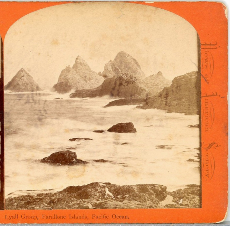 J.J. Reilly, Lyall Group, Farallone Islands, Pacific Ocean--Stereoview D114 J.J. Reilly, Lyall Group, Farallone Islands, Pacific Ocean--Stereoview D114