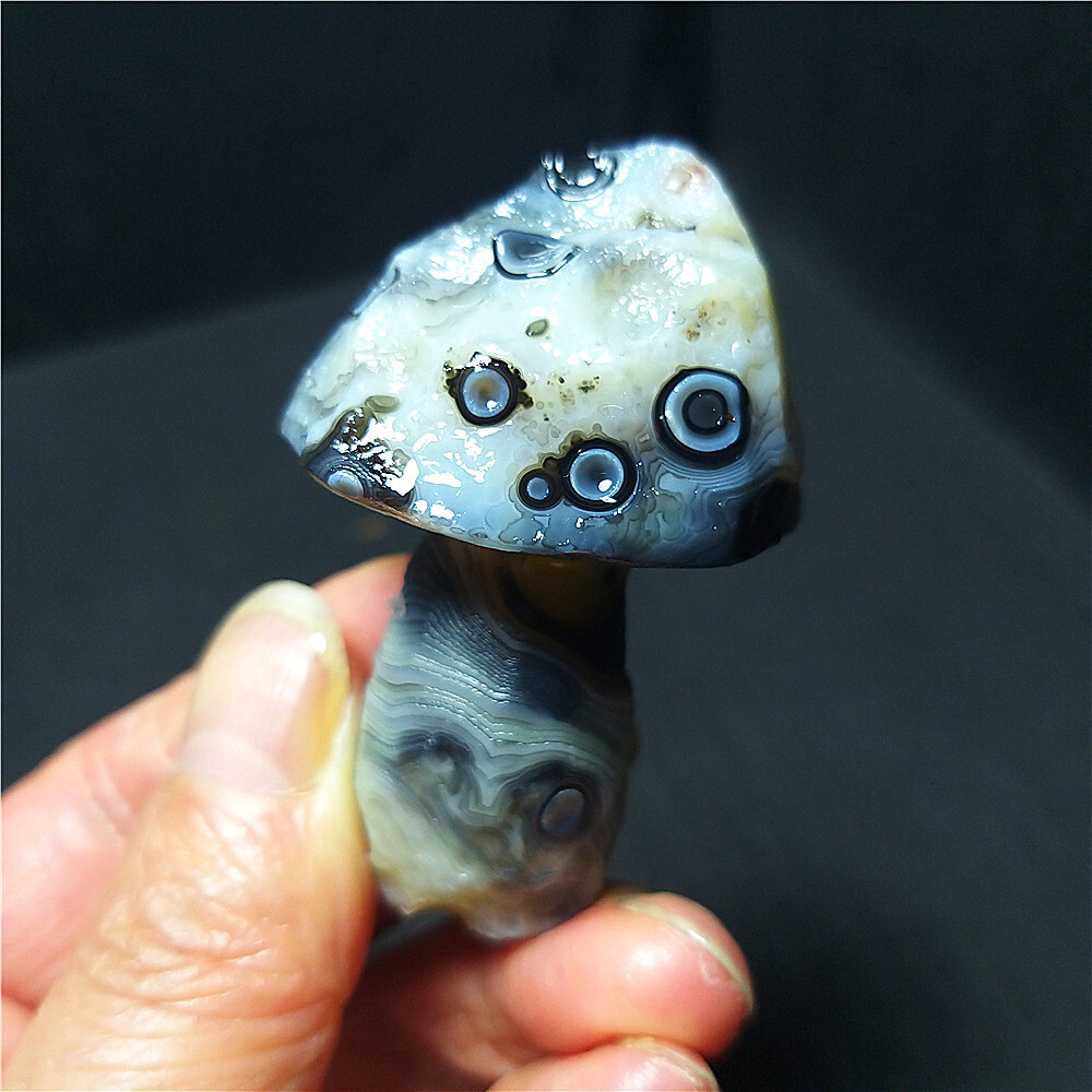Rare 42G Natural Gobi agate eyes Agate/Stone Mushroom Madagascar B776