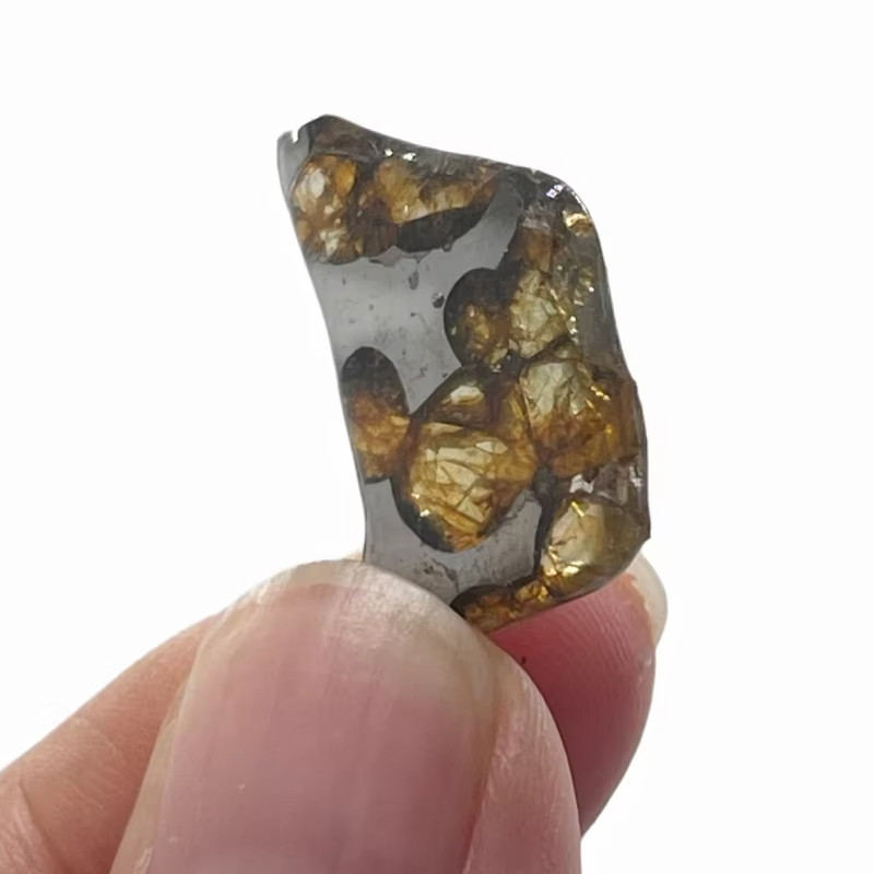 7.5CT SEYMCHAN pallasite meteorite slice METEORITE/USA QA849 7.5CT SEYMCHAN pallasite meteorite slice METEORITE/USA QA849