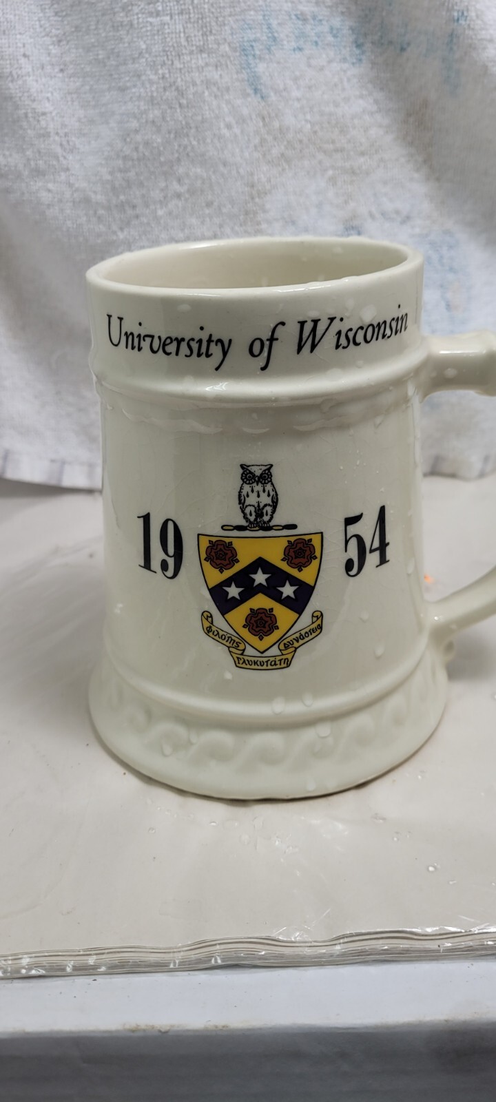 Vintage 1954 University Of Wisconsin Made In U.S.A Stein With \ Vintage 1954 University Of Wisconsin Made In U.S.A Stein With \