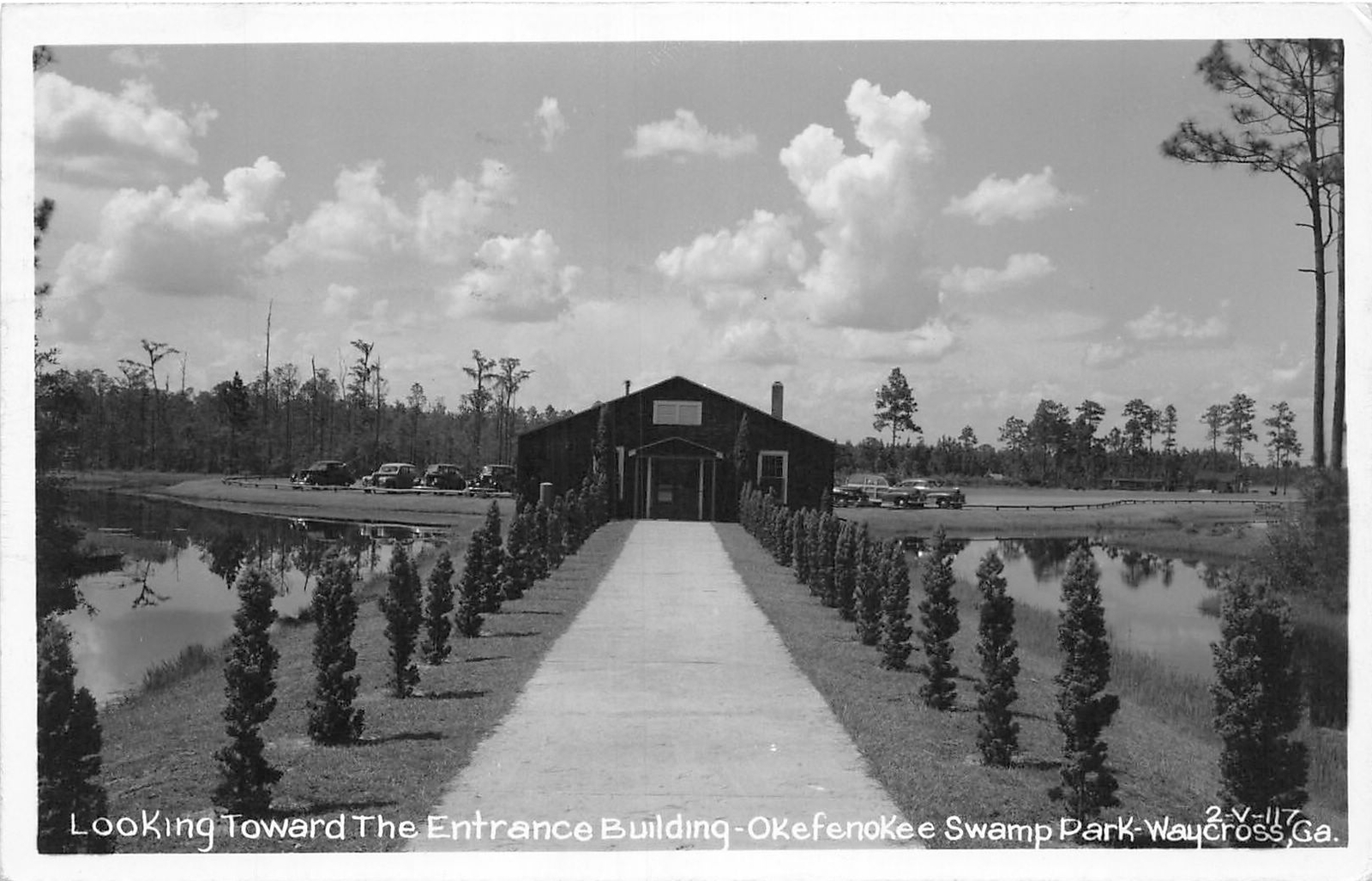 J46/ Okefenokee Swamp Park Georgia RPPC Postcard c1940s Cline Waycross 110 J46/ Okefenokee Swamp Park Georgia RPPC Postcard c1940s Cline Waycross 110