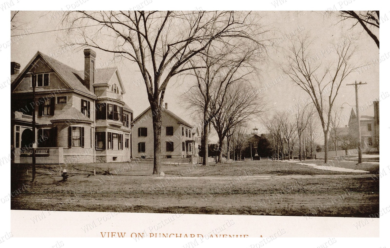 Andover Massachusetts 1893 Punchard Avenue Houses Trees Standard Postcard Andover Massachusetts 1893 Punchard Avenue Houses Trees Standard Postcard