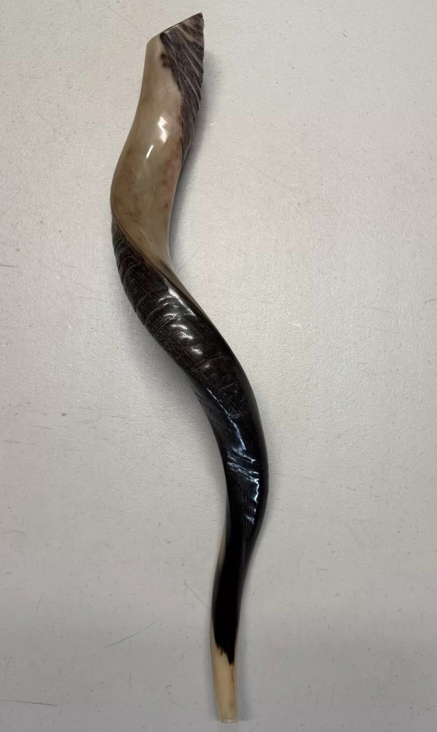 Shofar Yemenite Kudu Horn 24”-28” (52-69cm) KOSHER Half Polish  USA