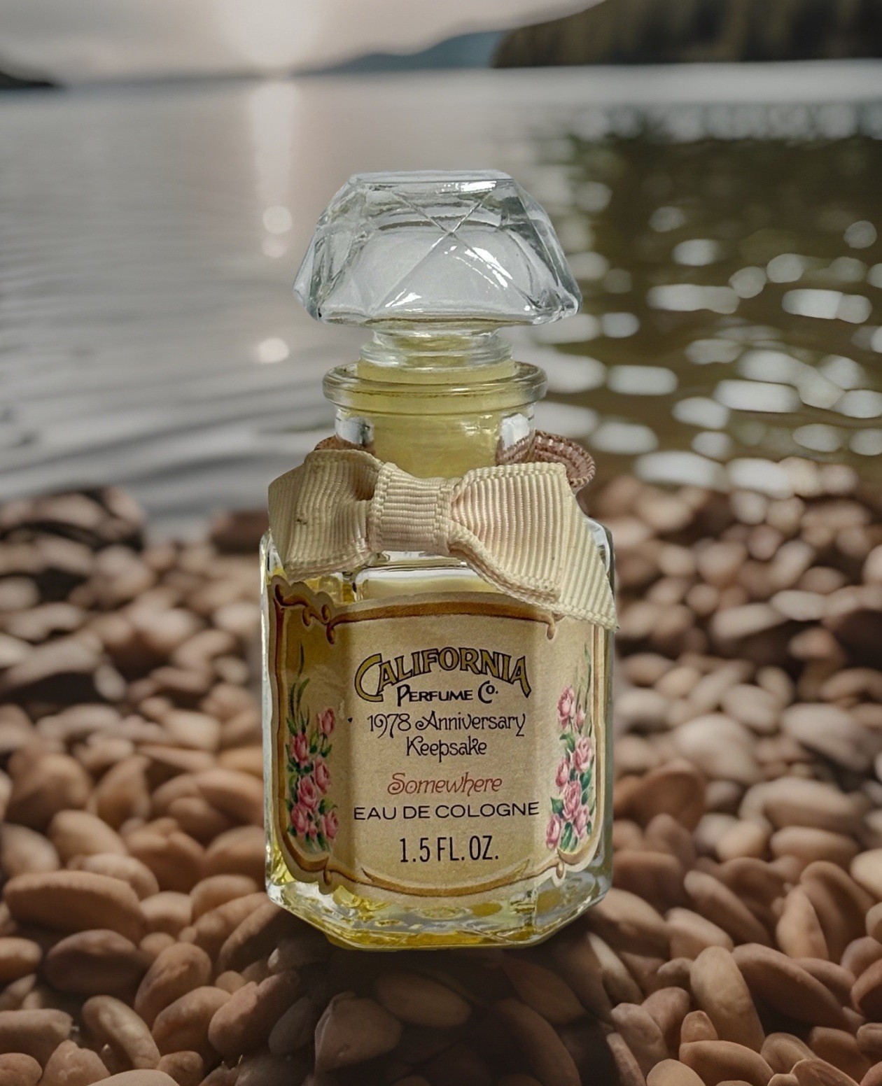 Avon California Perfume Co SOMEWHERE 1978 Anniversary Keepsake Cologne