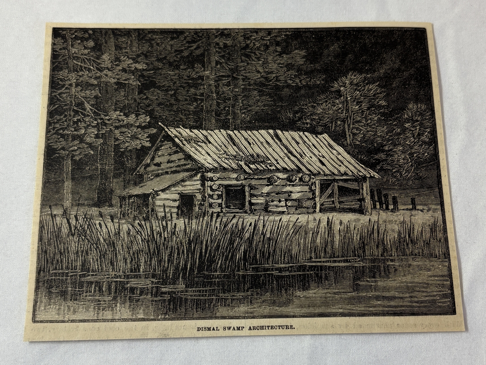 1881 magazine engraving~ DISMAL SWAMP ARCHITECTURE a neglected house