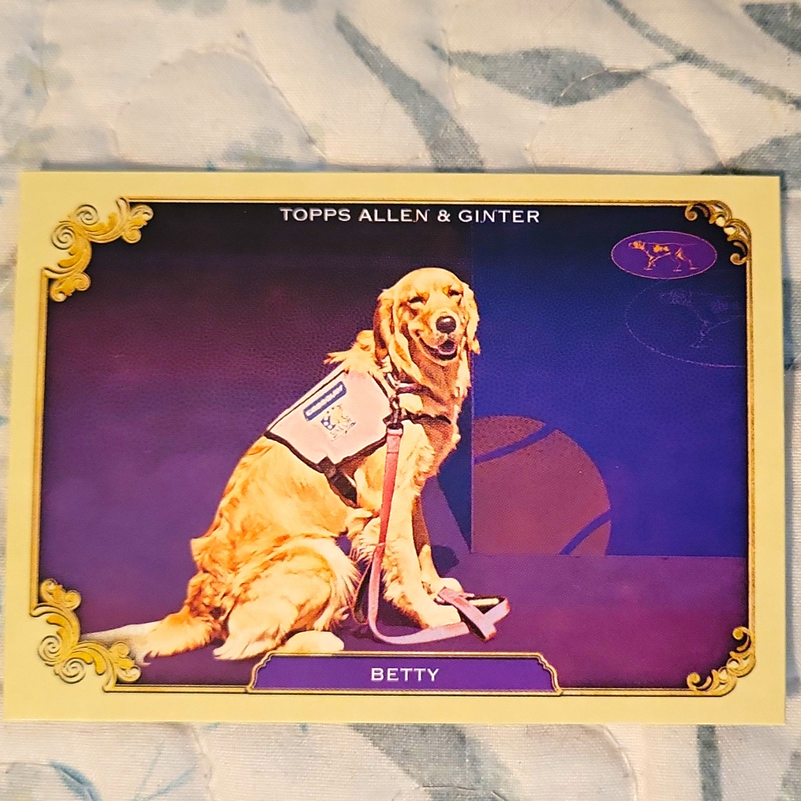 Topps 2022 Allen & Ginter SOS-5 Betty Westminster Kennel Club Insert Card Topps 2022 Allen & Ginter SOS-5 Betty Westminster Kennel Club Insert Card