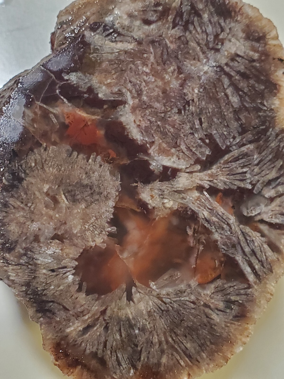 Rare Sagenite Needle Baker Ranch Banded Agate Thunderegg Crystal Geode 257g Roug Rare Sagenite Needle Baker Ranch Banded Agate Thunderegg Crystal Geode 257g Roug