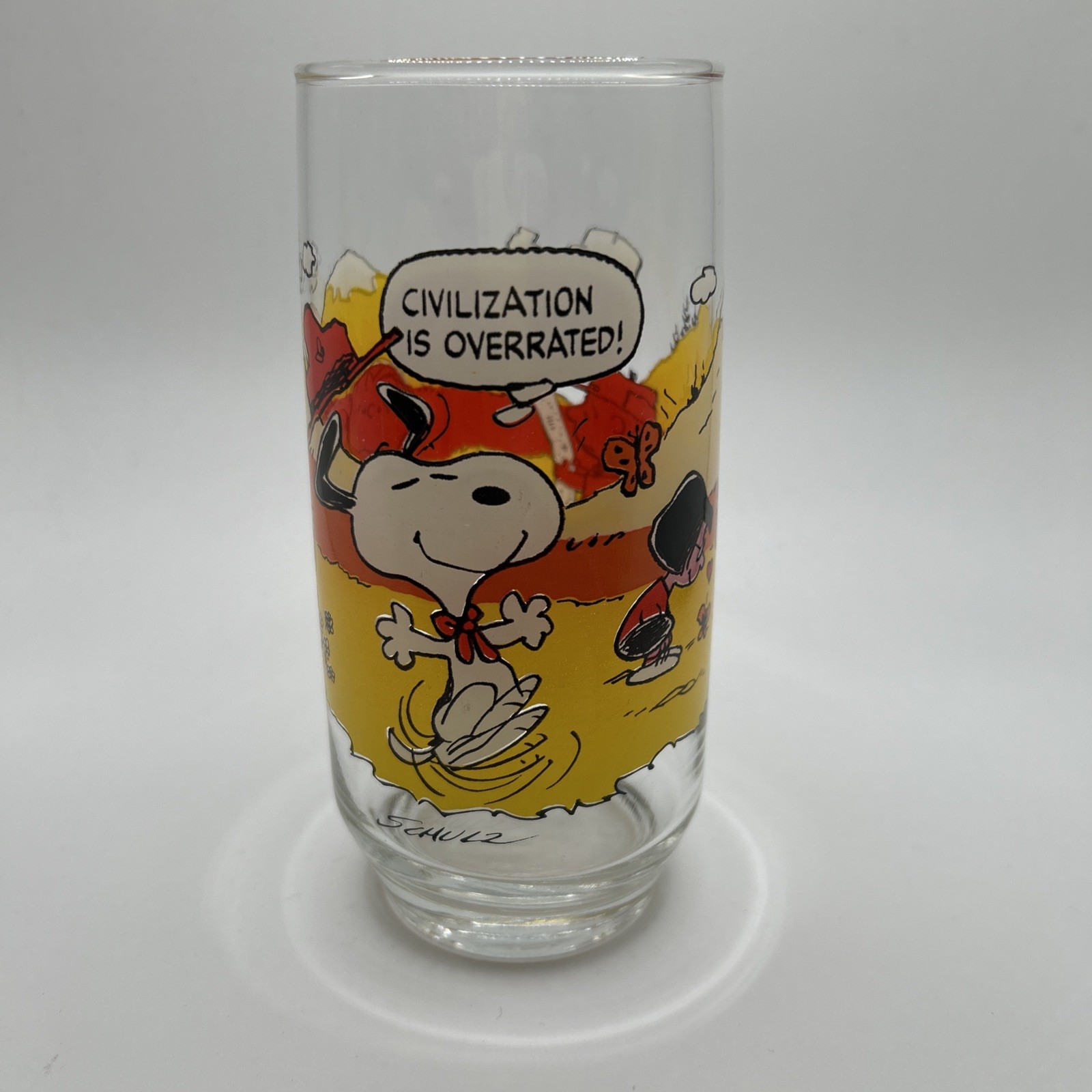 McDonald's Peanuts Camp Snoopy Collection Glasses 1965-1968-1971
