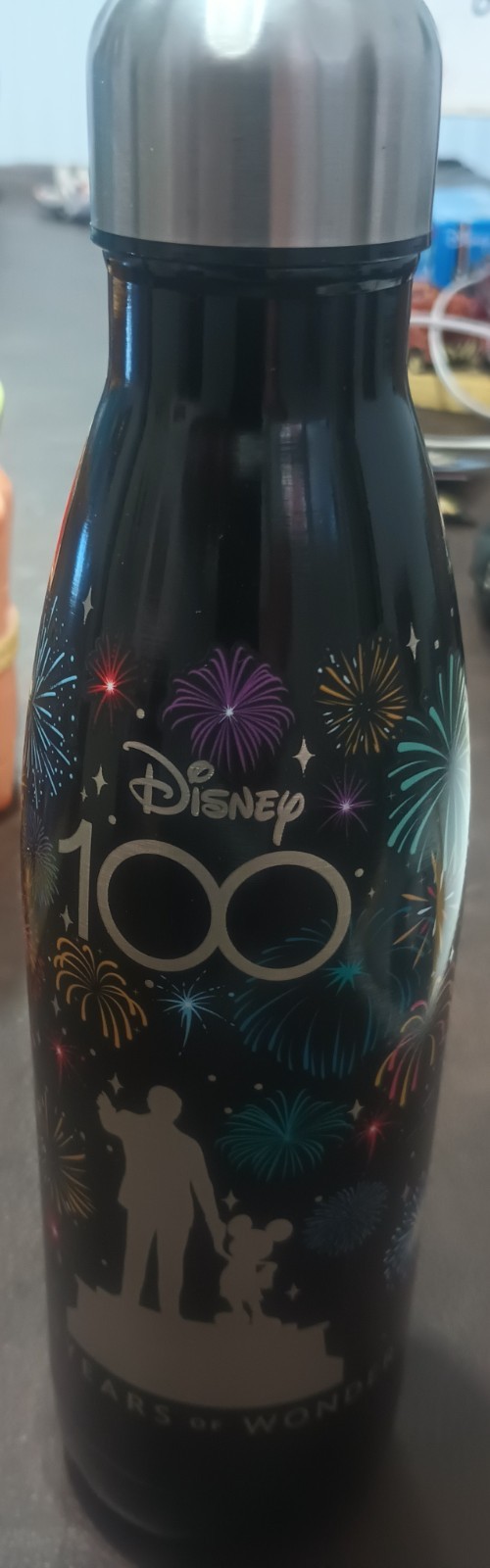 Disney 100 Years Of Wonder Cast Member Exclusive Metal Water Bottle Brand New Disney 100 Years Of Wonder Cast Member Exclusive Metal Water Bottle Brand New