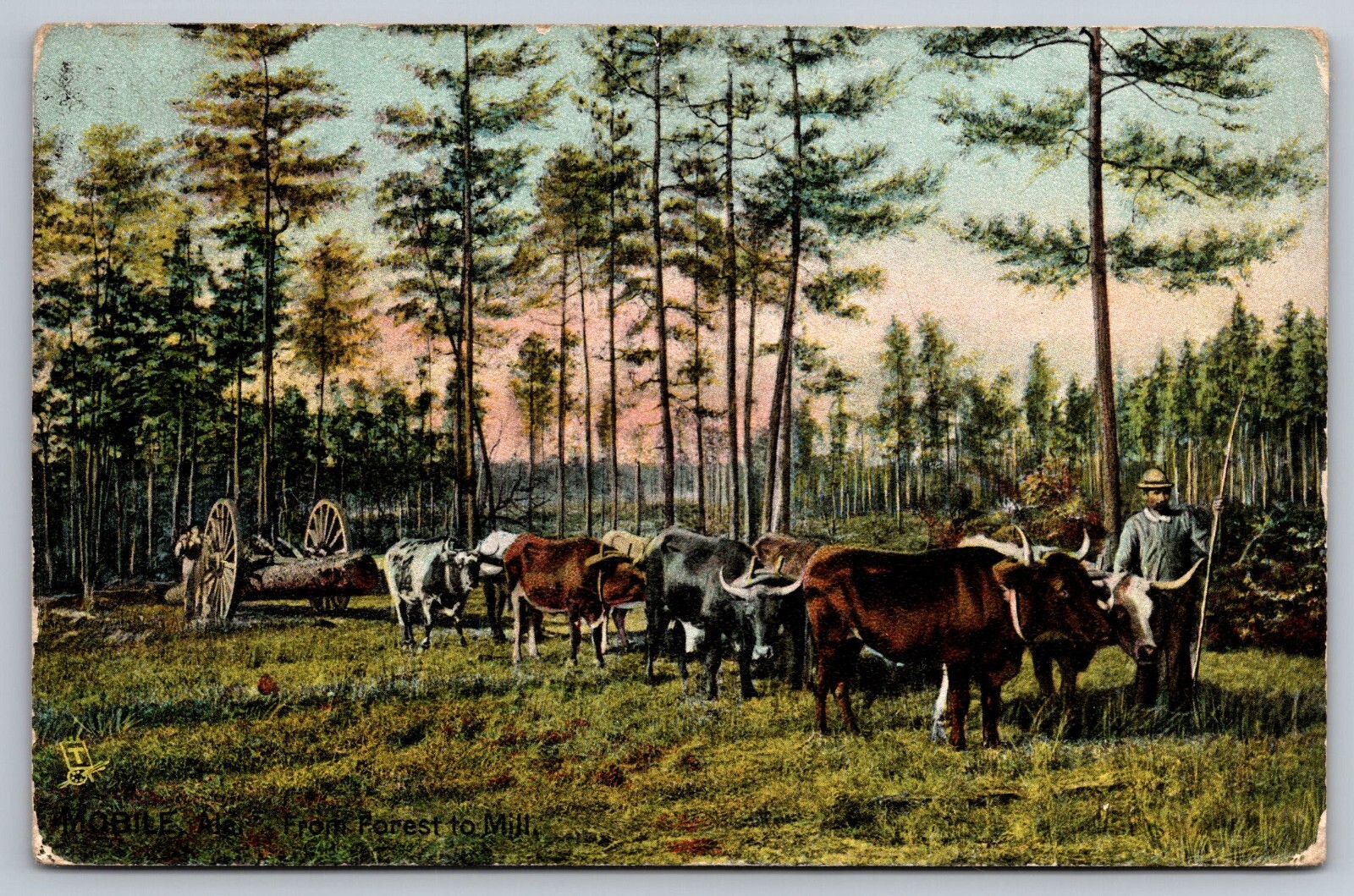 Postcard A 636, Mobile Ala., From Forest to Mill, Raphael Tuck, Posted Dec. 1907