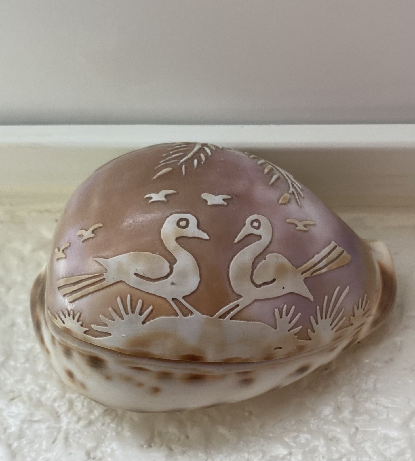 Carved Cowrie Leopard Shell Love Birds Scene Collectible Seashell Carved Cowrie Leopard Shell Love Birds Scene Collectible Seashell
