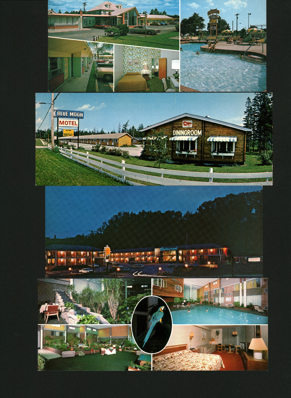 Lot 8 All 1960s-1970s Panoramic Motel Postcards Cars Pools PA MD VA ME OH NB
