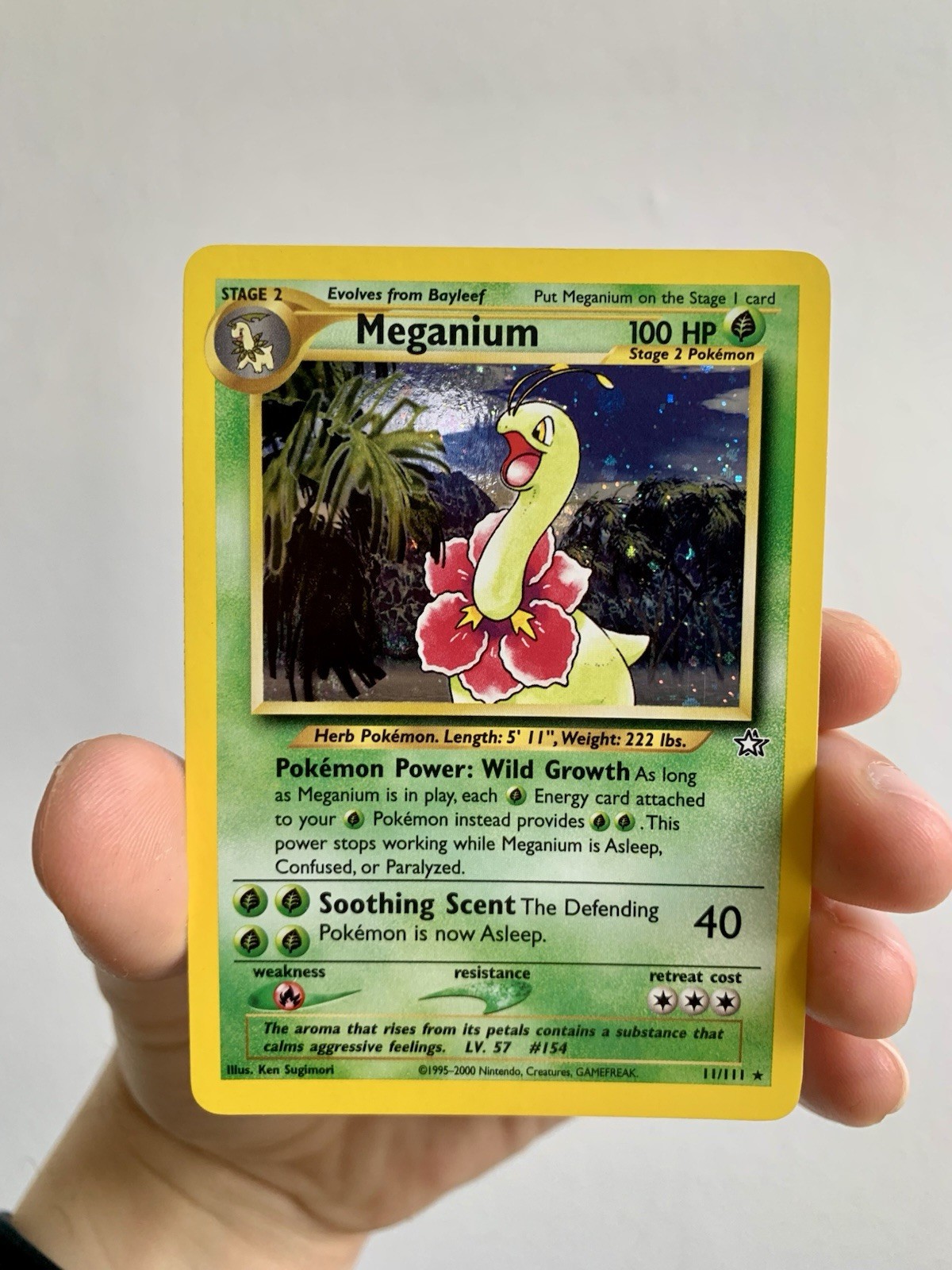 Meganium 10/111 Neo Genesis Holo NM π Meganium 10/111 Neo Genesis Holo NM π