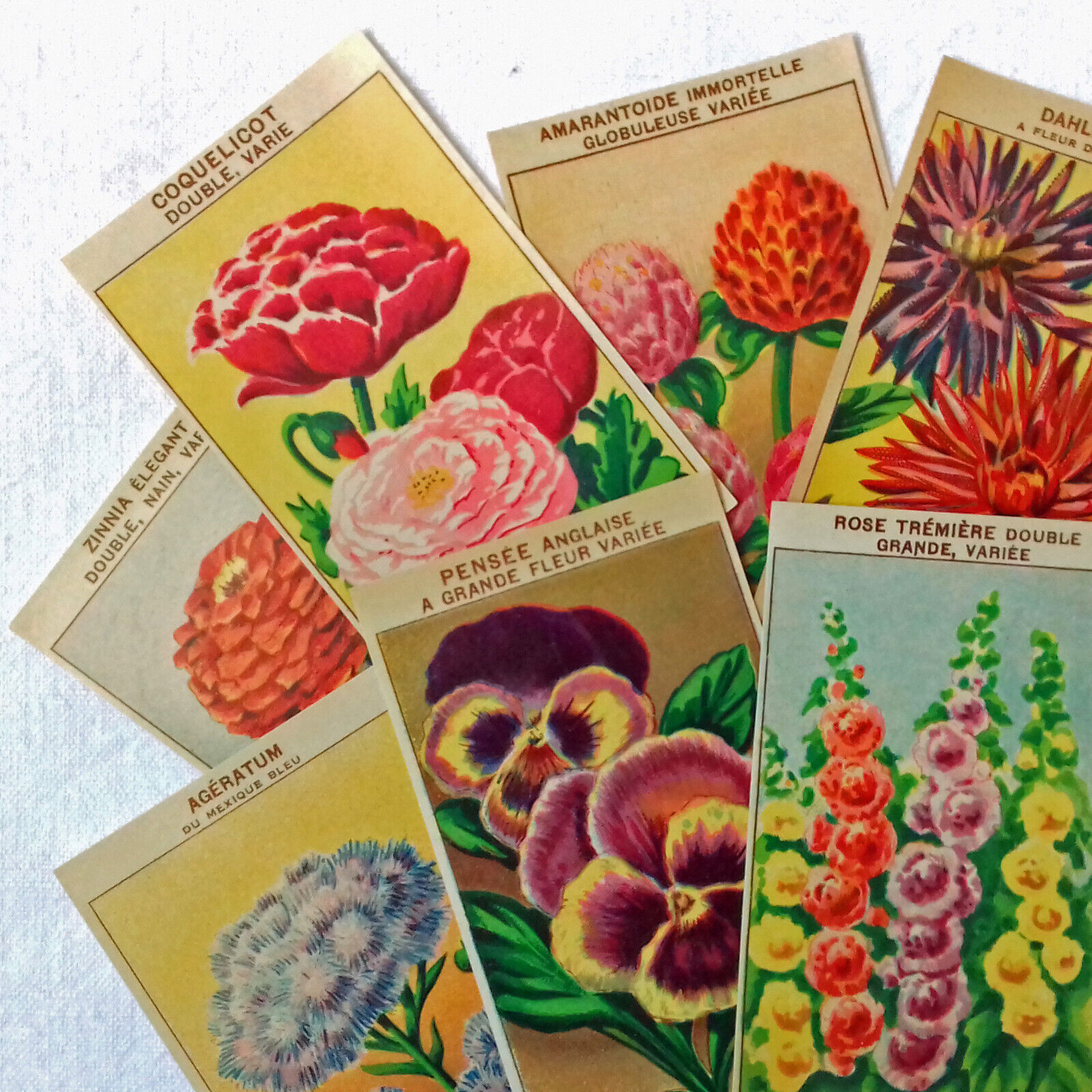 40 Vintage French Flower Seed Packet Labels original 1920's lithographs