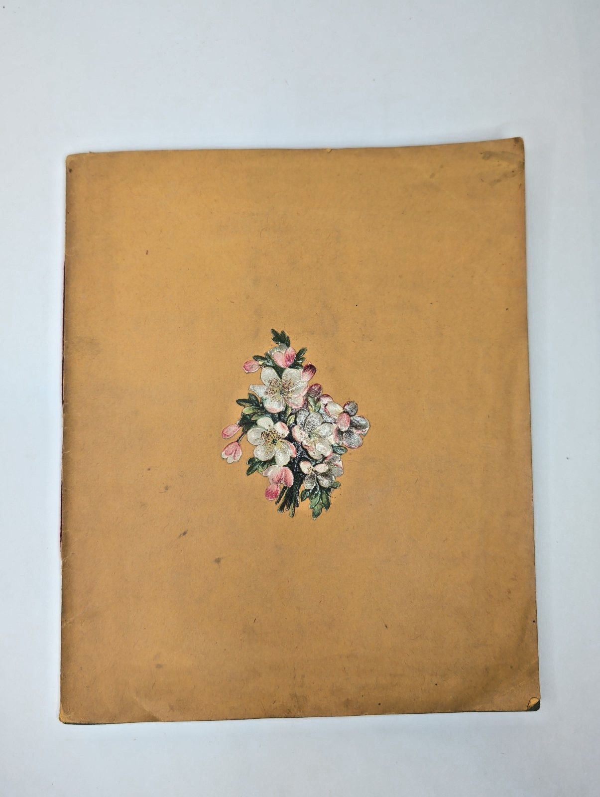 Antique Scrapbook 1870s-1890s 39 Pages Trade Cards Quack Medicine, Advertisments