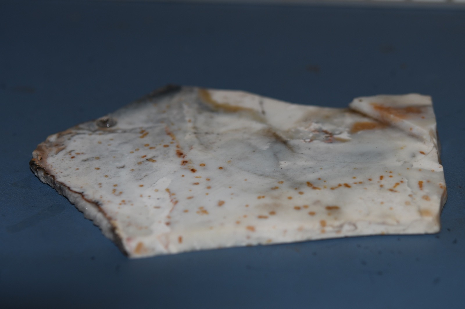Mid 20th century Priday Polkadot Agate labidary slab, Origin - Oregon