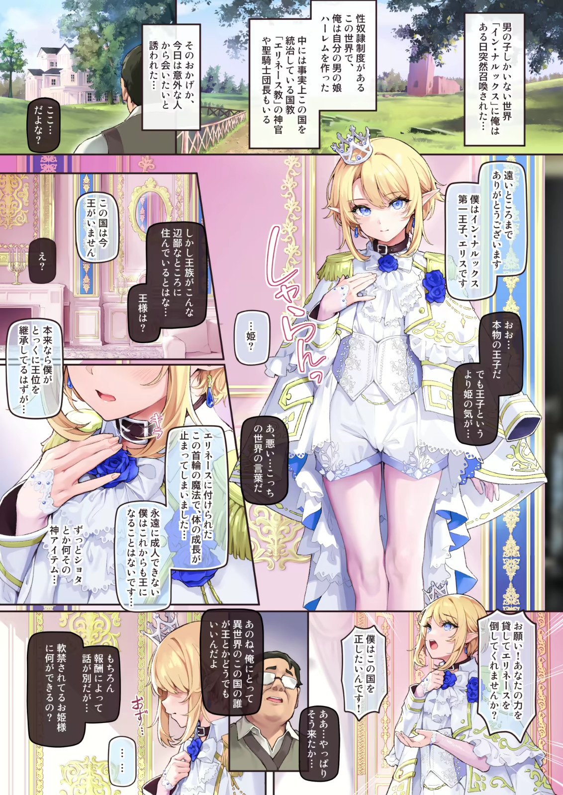 Cross dressing Pretty Boy fanbook B5/16P Proposal from the Beautiful Prince