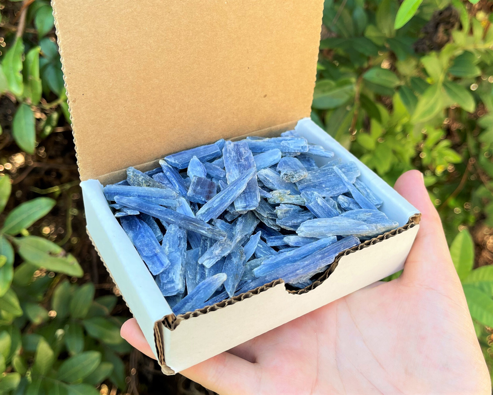 Natural Blue Kyanite Blades Gift Box Lot - \'A\' Grade Kyanite Crystals 1/2 lb Lot Natural Blue Kyanite Blades Gift Box Lot - \'A\' Grade Kyanite Crystals 1/2 lb Lot