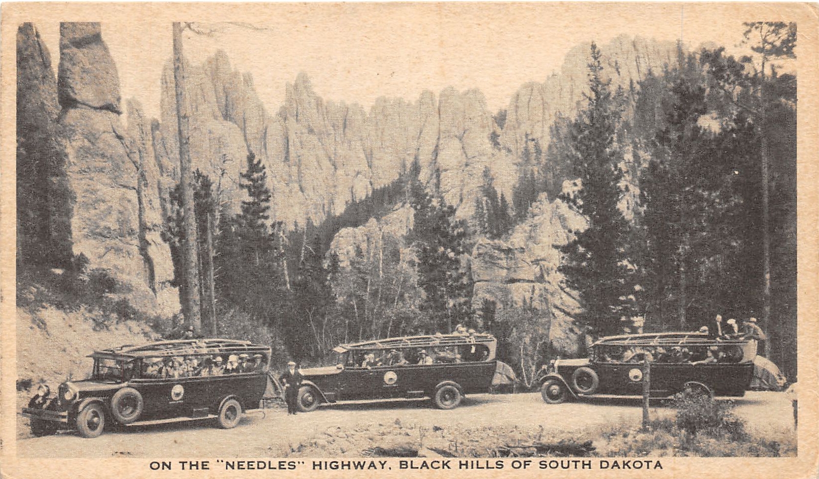J55/ Black Hills South Dakota Postcard c1910 Bus Needles Highway Tour 133