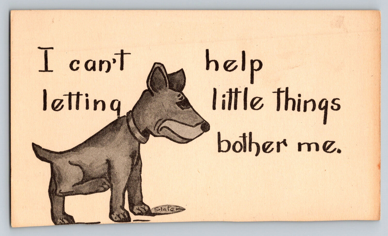 Humor I Can't Help Letting Little Things Bother Me Funny Postcard Dog Unposted