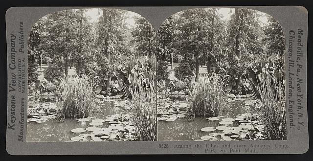 Photo:St Paul Minnesota 1926 Como Park Lily Pond Aquatic Garden Statuary