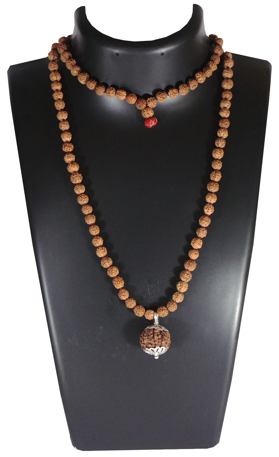 ShivaRatna 5 Mukhi Rudraksha (Nepal) + 109 Beads of Five Mukhi Rudraksha mala