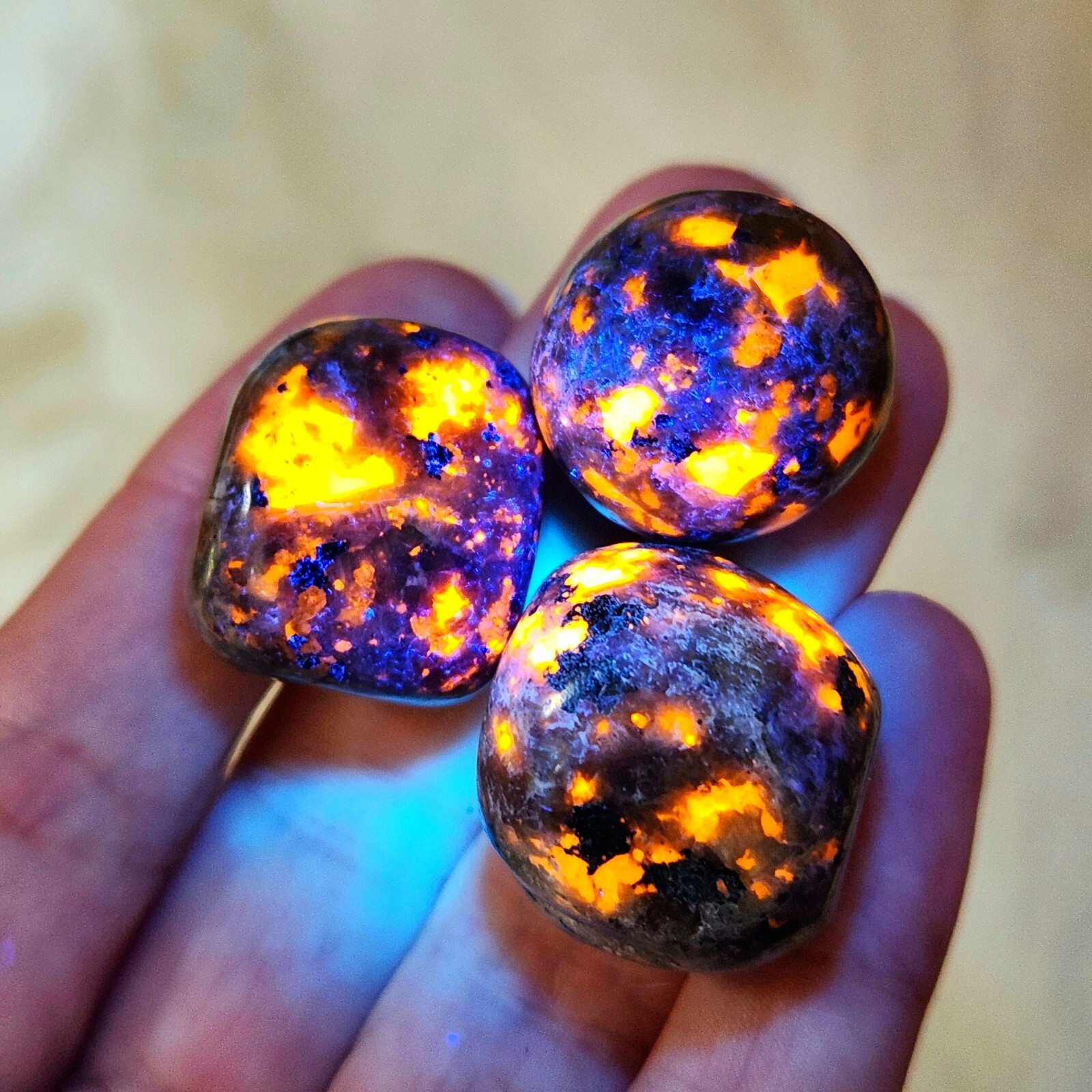 3pcs Natural Yooperlite Tumbled Polished Flame Stone UV Reactive Fire Stone 3pcs Natural Yooperlite Tumbled Polished Flame Stone UV Reactive Fire Stone