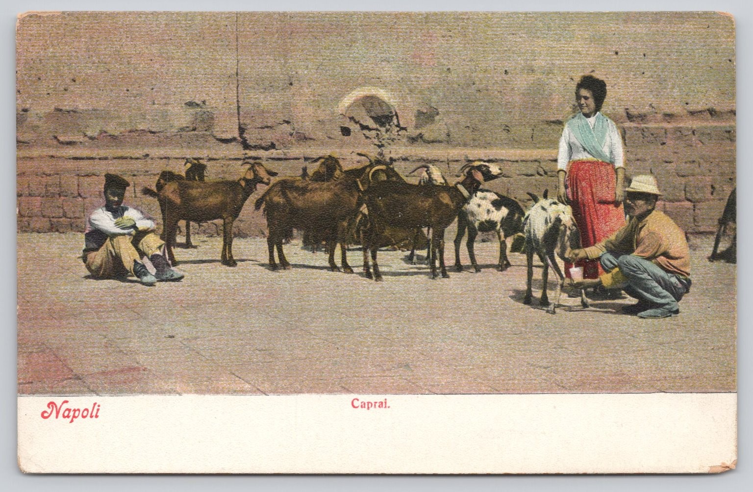 Vintage Napoli Italy Goats Milk Seller Street Scene Postcard E. Ragozino Vintage Napoli Italy Goats Milk Seller Street Scene Postcard E. Ragozino