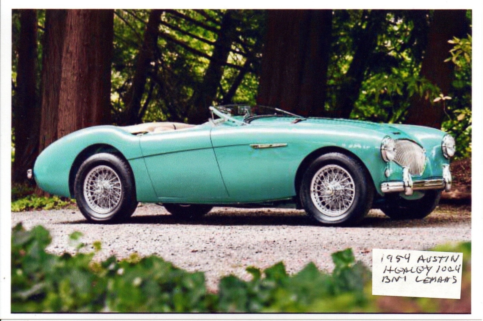 1954 Austin Healey One Hundred BN 1 Lemans Sports Car Photo