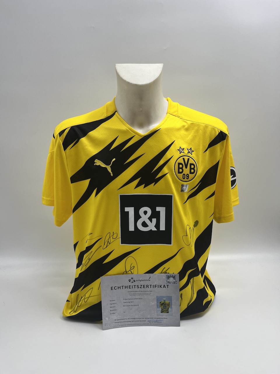 BVB Jersey 2020/2021 Team Signed Borussia Dortmund COA Puma Haaland XL