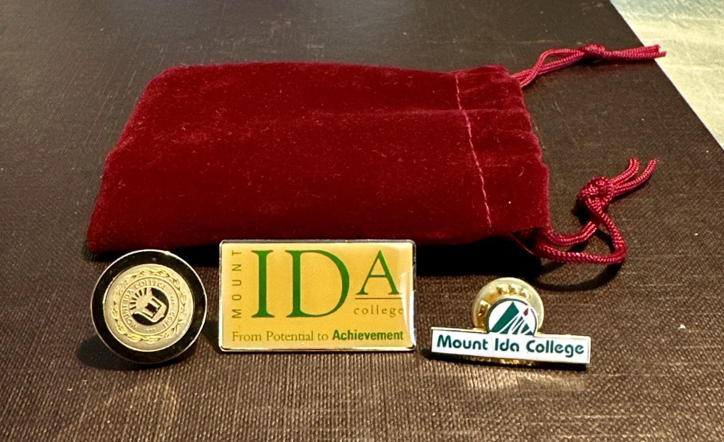 Lot Of 3 Mount Ida College Lapel Pins 