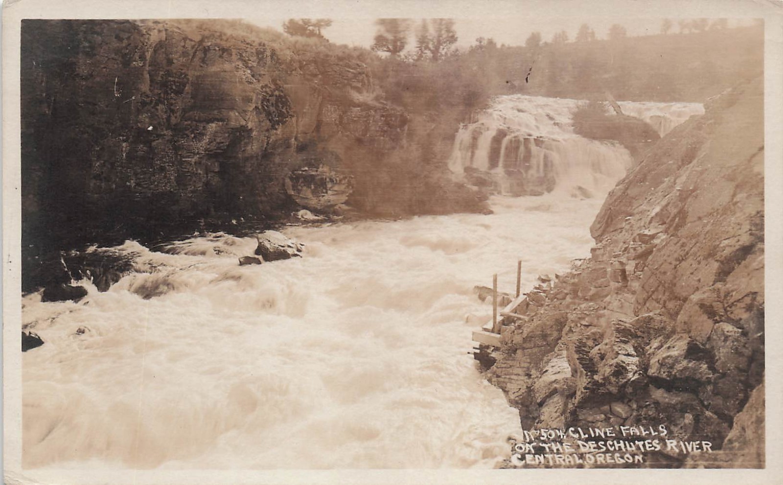 Deschutes River OR Oregon Cline Falls Central Oregon RPPC Photo Postcard 31A