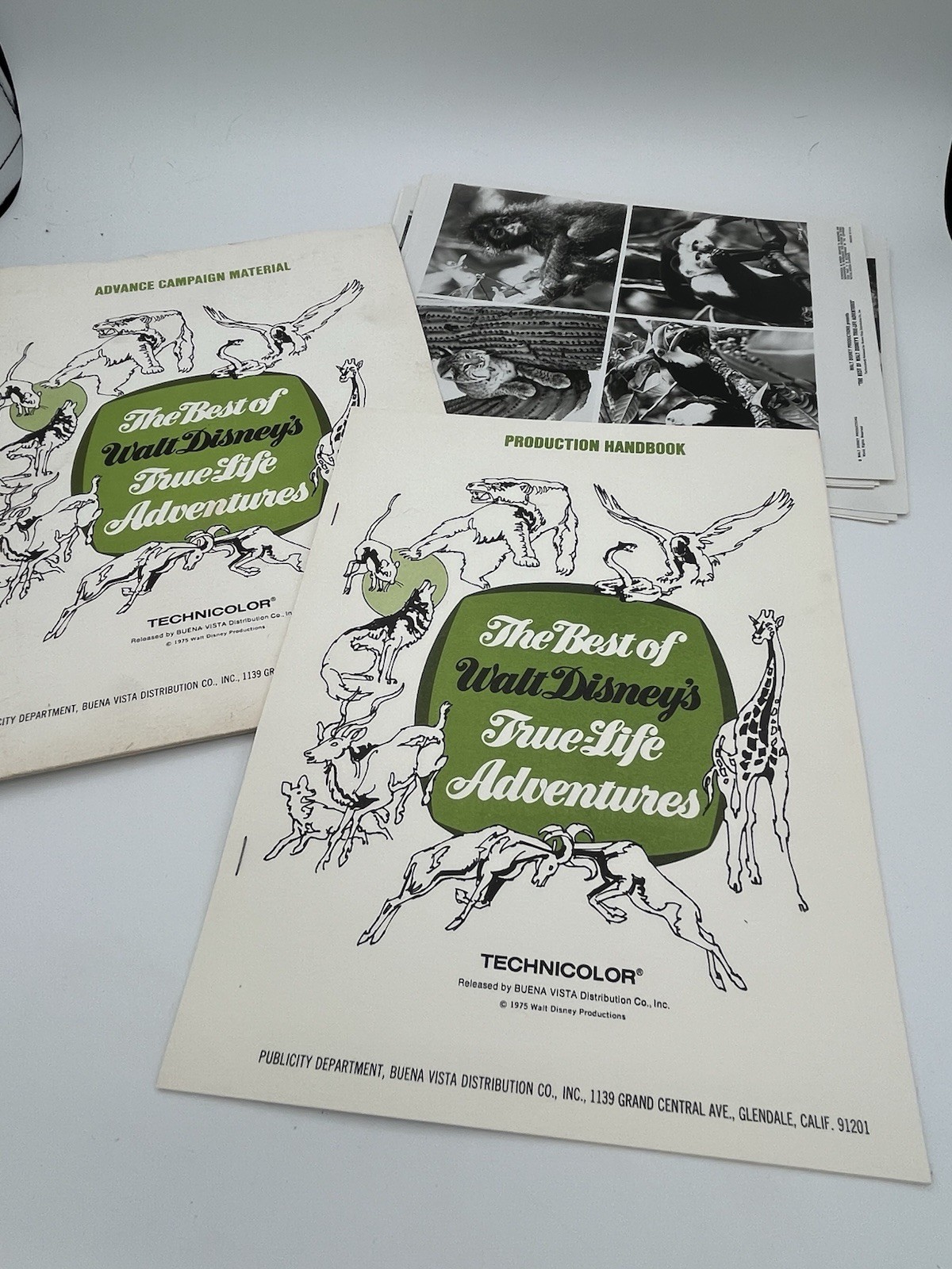 1970's Best of Walt Disney's True Life Adventures - Technicolor Adventure Book