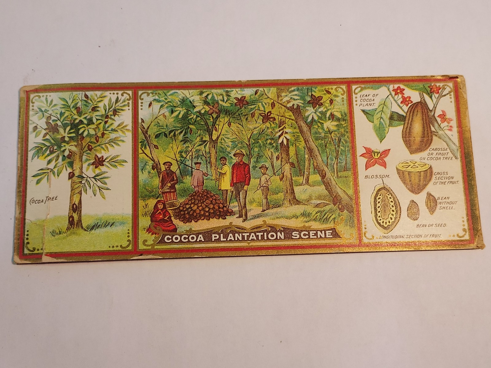 Antique Ideal Cocoa Co. Victorian Trade Card Cocoa Plantation Scene Lititz Penn.